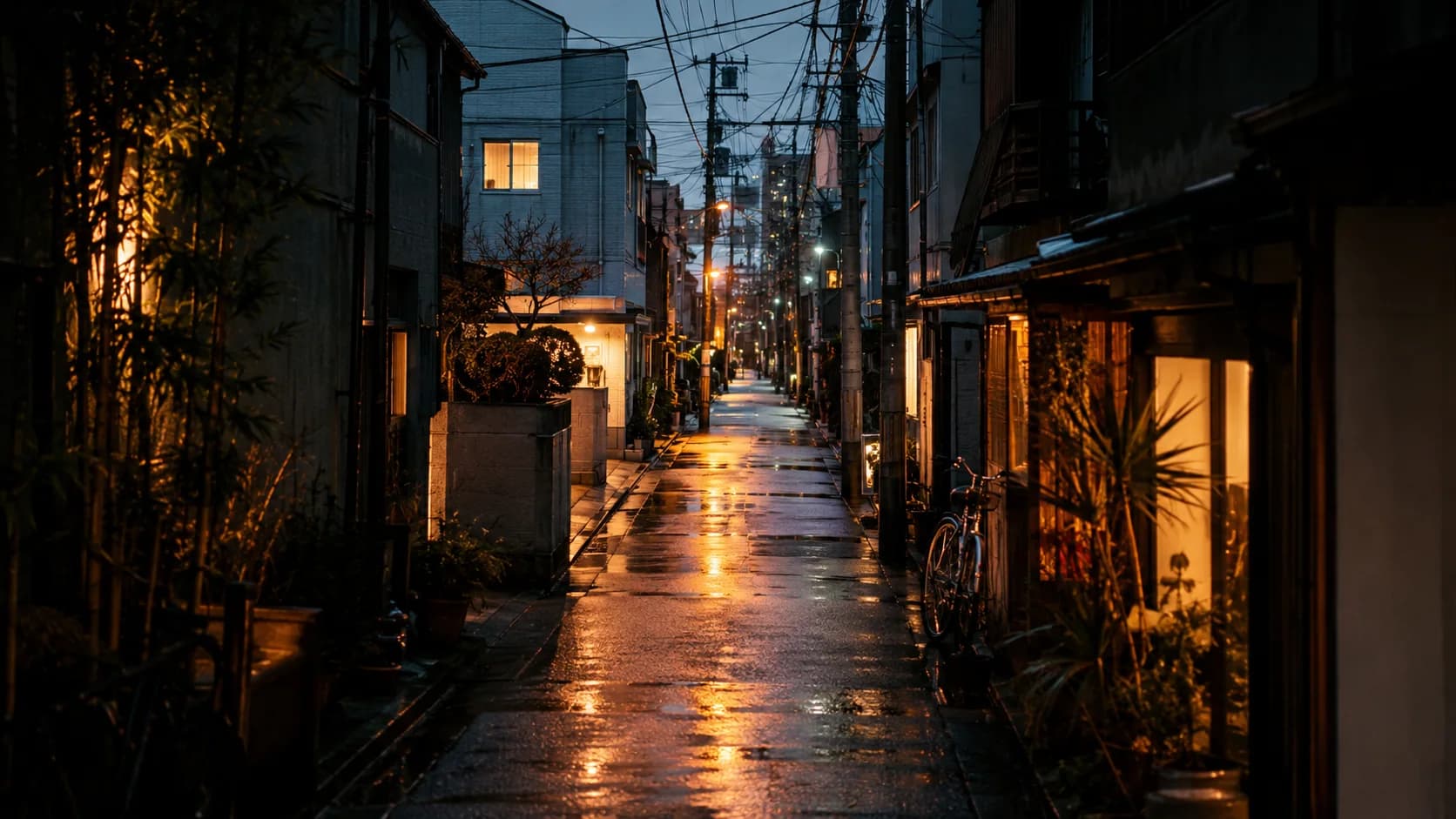 Tokyo Lantern Alleys frame FJ-042 in the Fuji Atlas Japanese visual archive