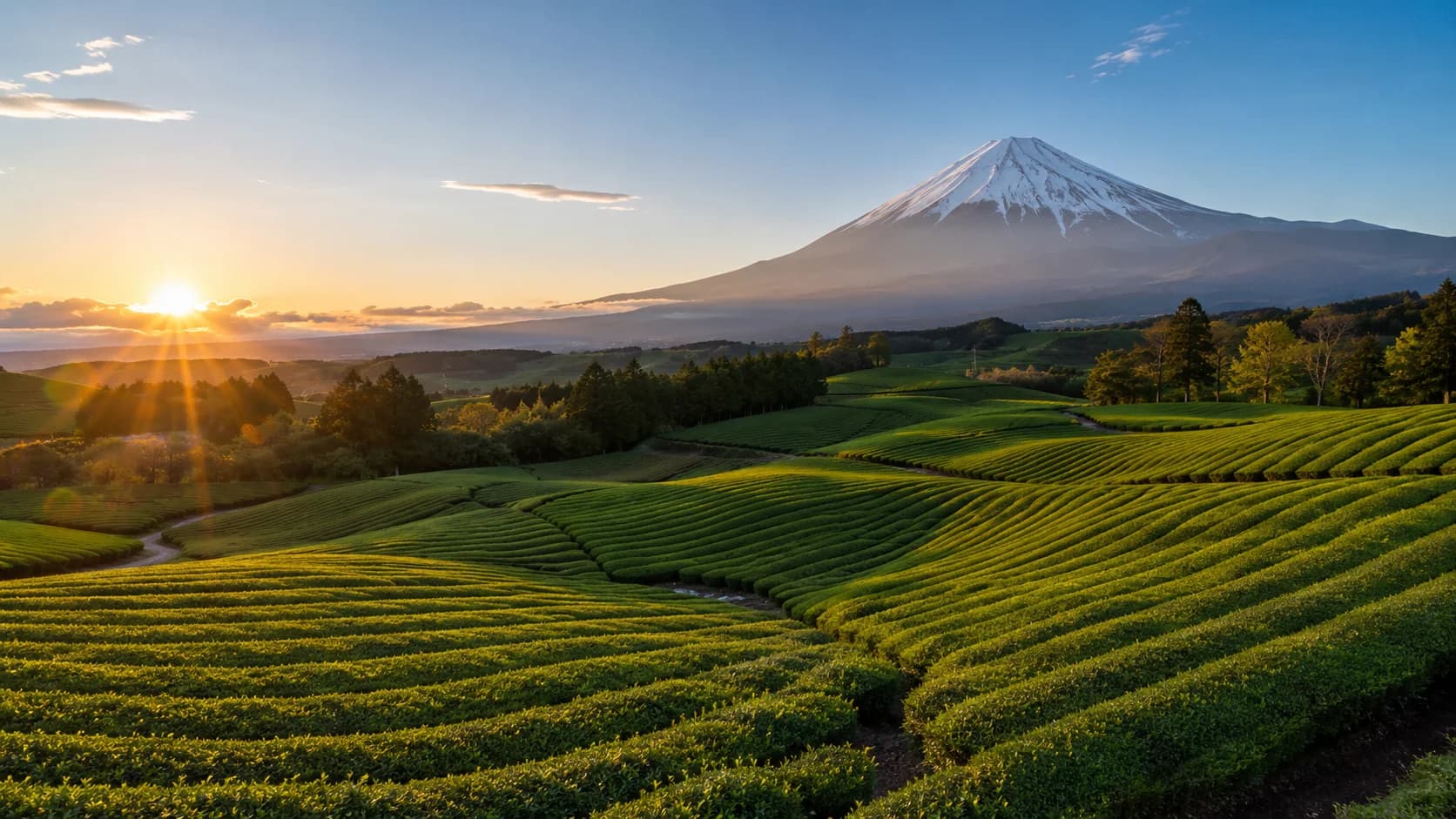 Pastoral Fuji frame FJ-074 in the Fuji Atlas Japanese visual archive